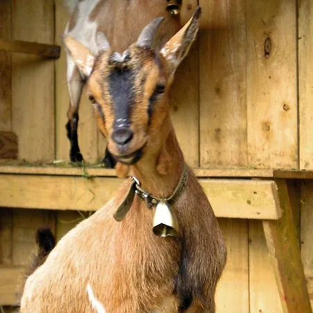 Kinderparadies Bachbauer