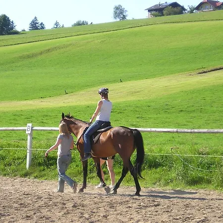 Alloggio per agriturismo Kinderparadies Bachbauer *
