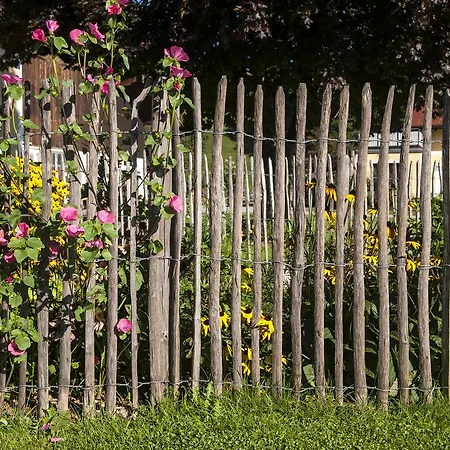 Alloggio per agriturismo Kinderparadies Bachbauer