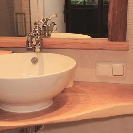 בית חווה Kinderparadies Bachbauer