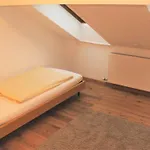Gospodarstwo agroturystyczne Kinderparadies Bachbauer