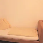 Kinderparadies Bachbauer Gospodarstwo agroturystyczne